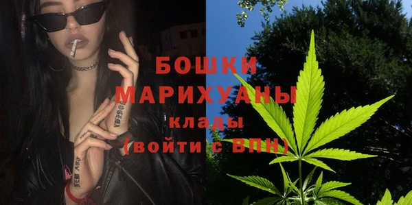 спиды Арсеньев