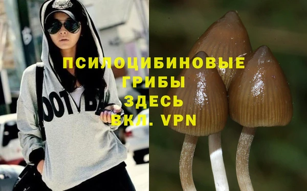 ГАЛЛЮЦИНОГЕННЫЕ ГРИБЫ Армянск