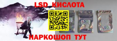 тгк Кингисепп