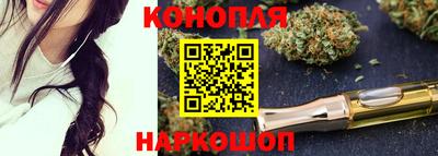 тгк Кингисепп