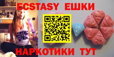 тгк Кингисепп