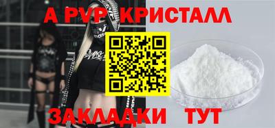 тгк Кингисепп