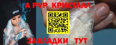 тгк Кингисепп