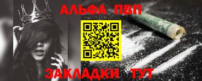 тгк Кингисепп