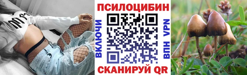 купить  цена  это наркотические препараты  Галлюциногенные грибы Psilocybe  Кольчугино 