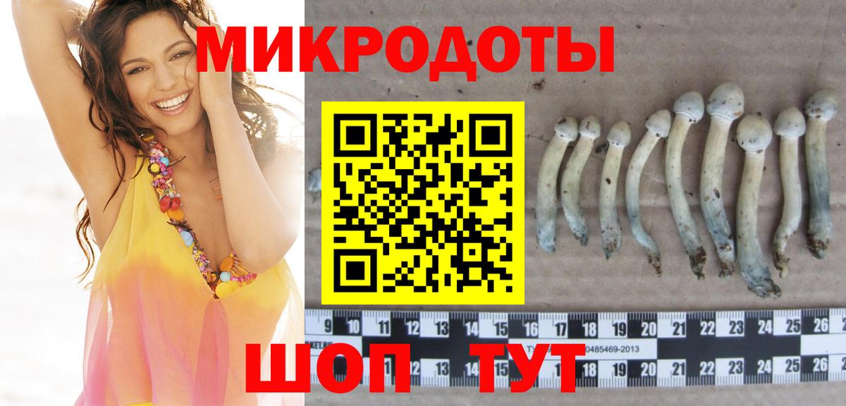 Галлюциногенные грибы Psilocybine cubensis Кольчугино